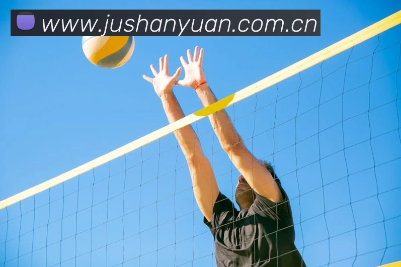 开云kaiyun网站APP 体育赛事宣传图